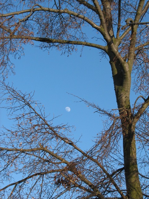 2010 únor nad Kněževsí