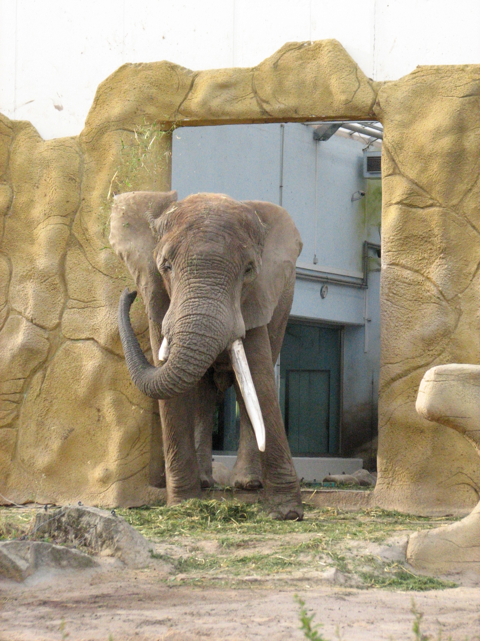 ZOO Dvůr Králové nad Labem 1