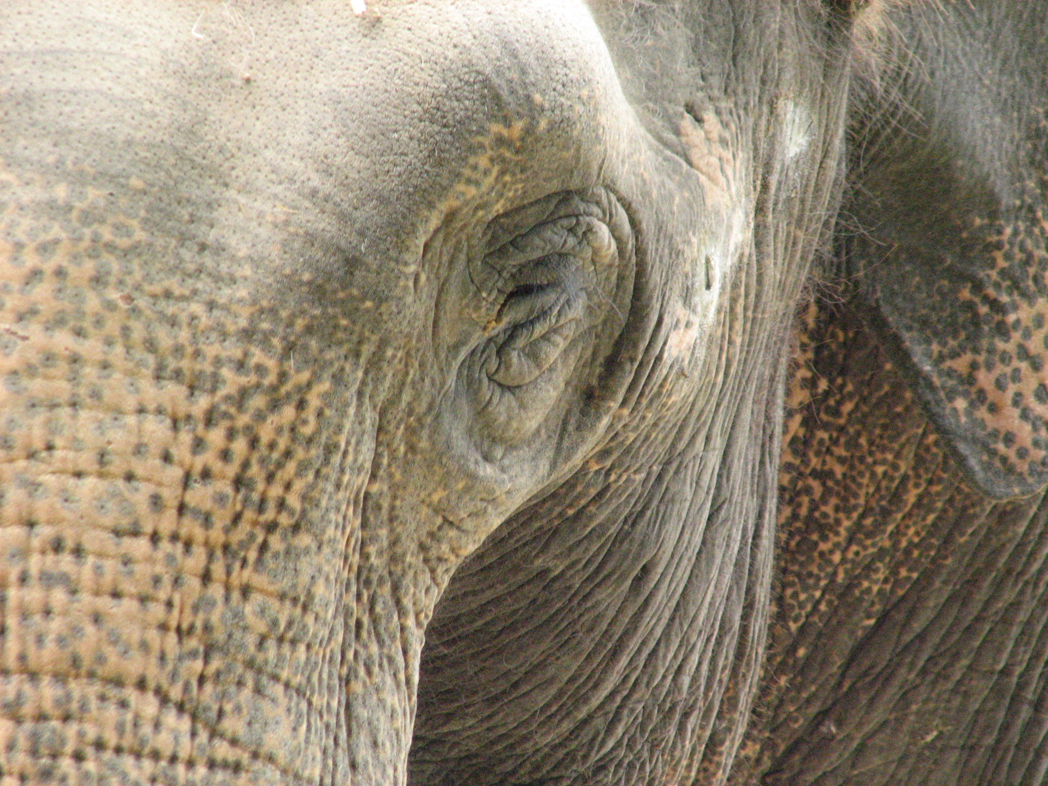 ZOO Dvůr Králové nad Labem 3
